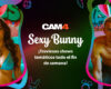 Este fin de semana las conejitas sexys vuelven a Cam4! #Sexybunny 🐇🥕
