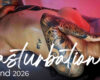 Masturbation Weekend CAM4 - Las fotos más HOT 🔥💦