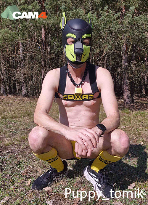 puppy fetish gay
